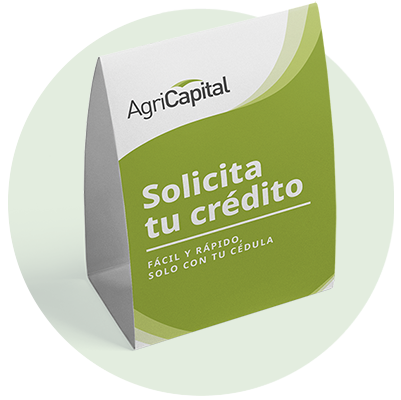 Imagen para el componente Hero de créditos en tienda