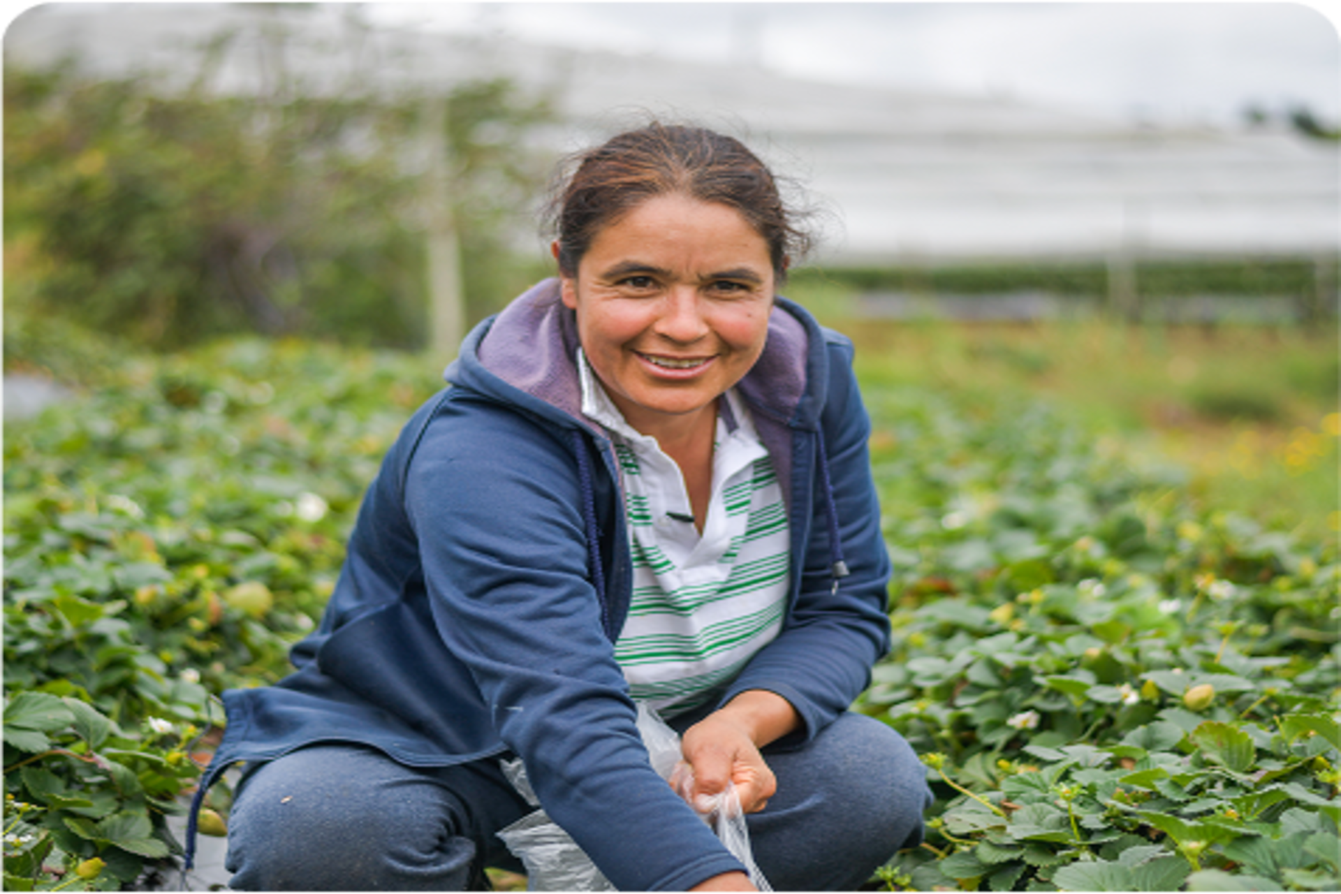 La importancia de la planificación financiera en los clientes de crédito agropecuario