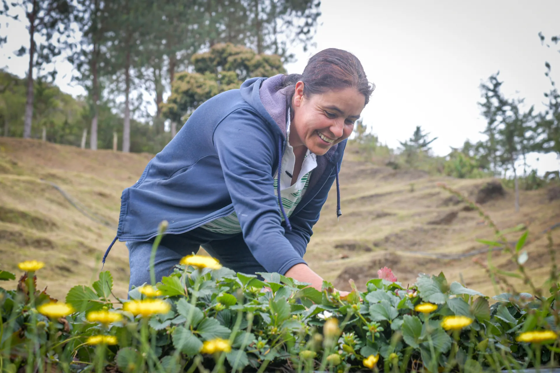 Empoderando a las Mujeres en el Agro